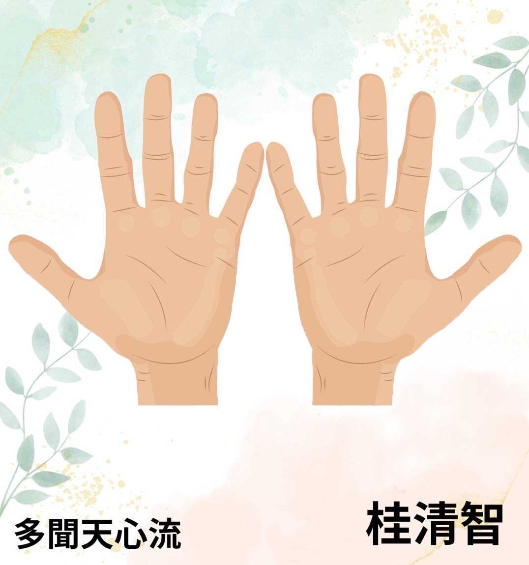 手相鑑定書